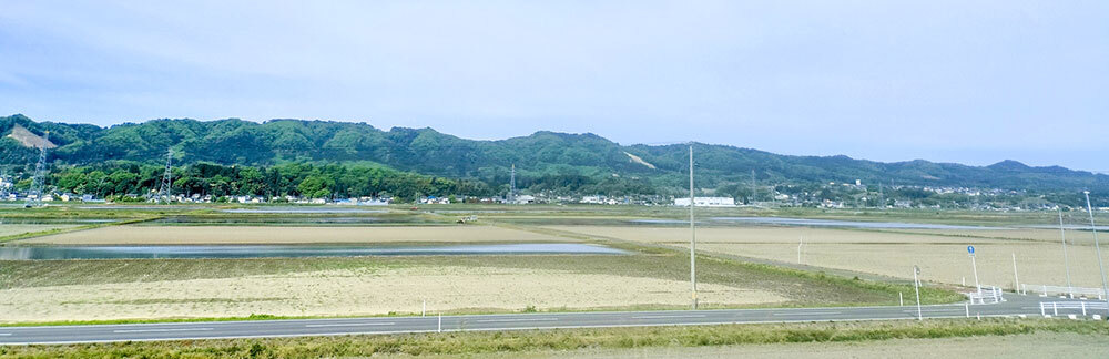 地域密着型